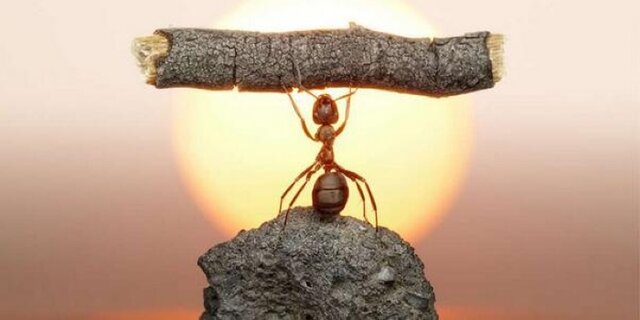  اعتماد به نفس