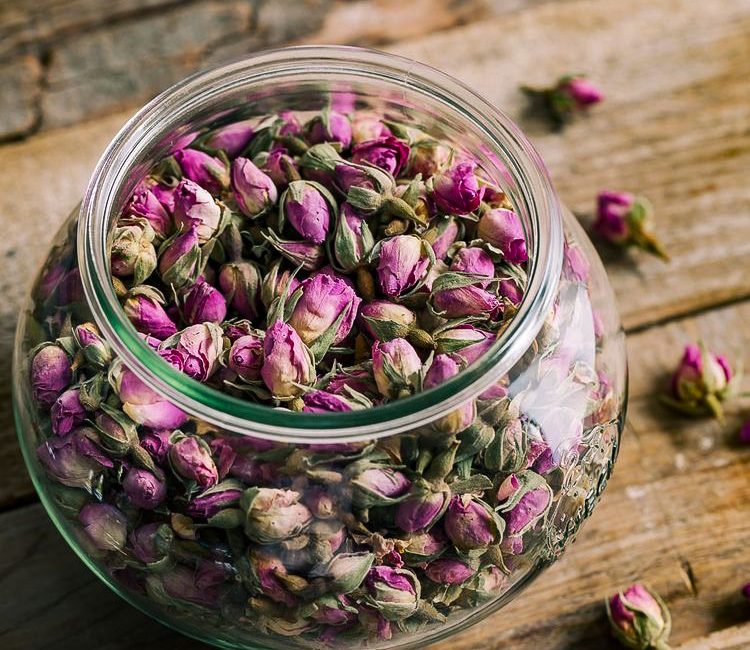  گل محمدی