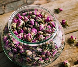 گل محمدی گیاهی پرخاصیت و شگفت انگیز