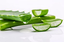 فواید درمانی نوشیدنی آلوئه‌ورا برای سلامتی