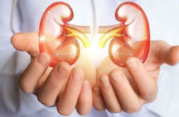 تاثیر زینک در بروز سنگ کلیه