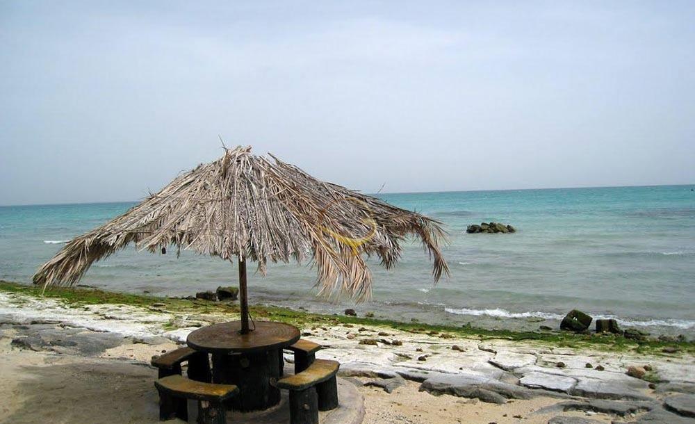 کیش