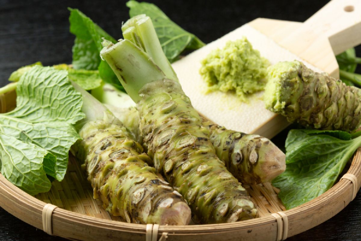 گیاه واسابی