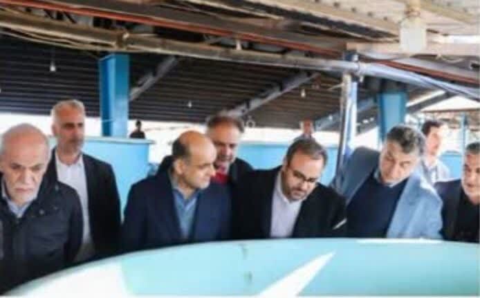 بانک ژن ماهیان دریای خزر ایجاد شود