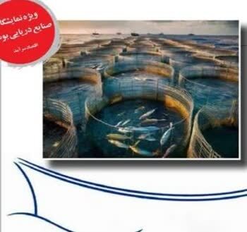 توسعه صنایع شیلات در گرو دانش روز و تامین مالی توسعه صنایع شیلات در گرو دانش روز و تامین مالی