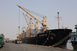 افزایش 56 درصدی ترانزیت کالاهای غیرنفتی در بنادر شرق هرمزگان