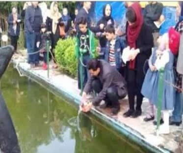 هشدار برای «ماهی قرمز» نوروزی