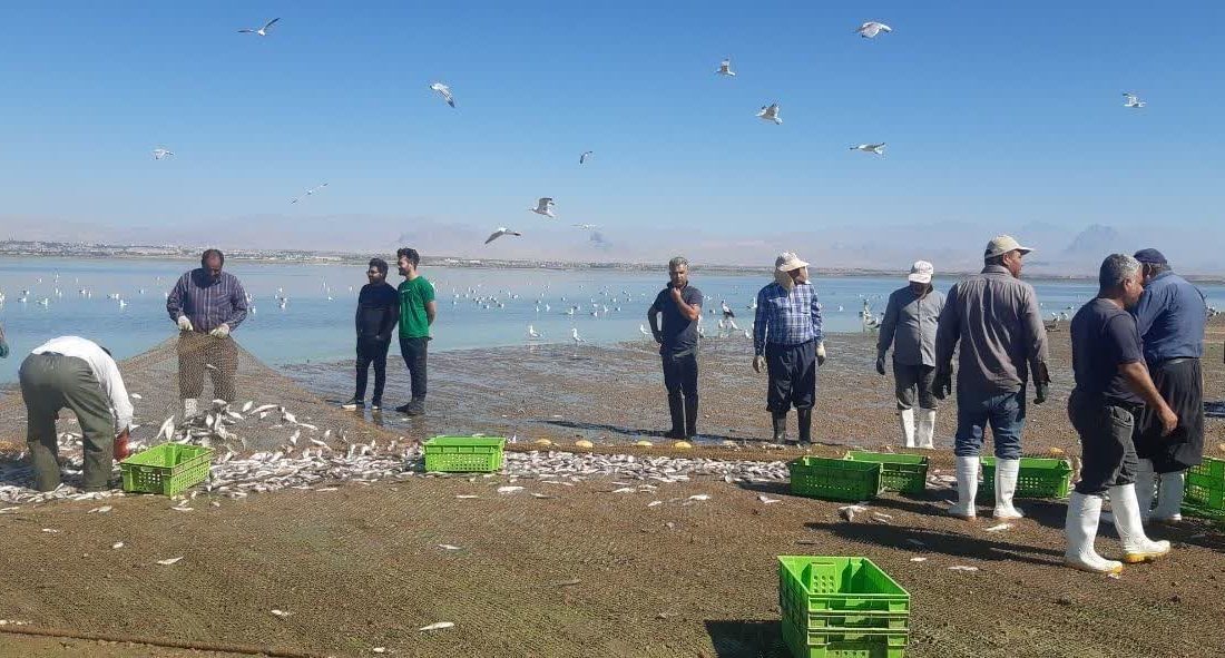یک‌هزار صیاد در منابع آبی آذربایجان غربی مشغول به کار هستند