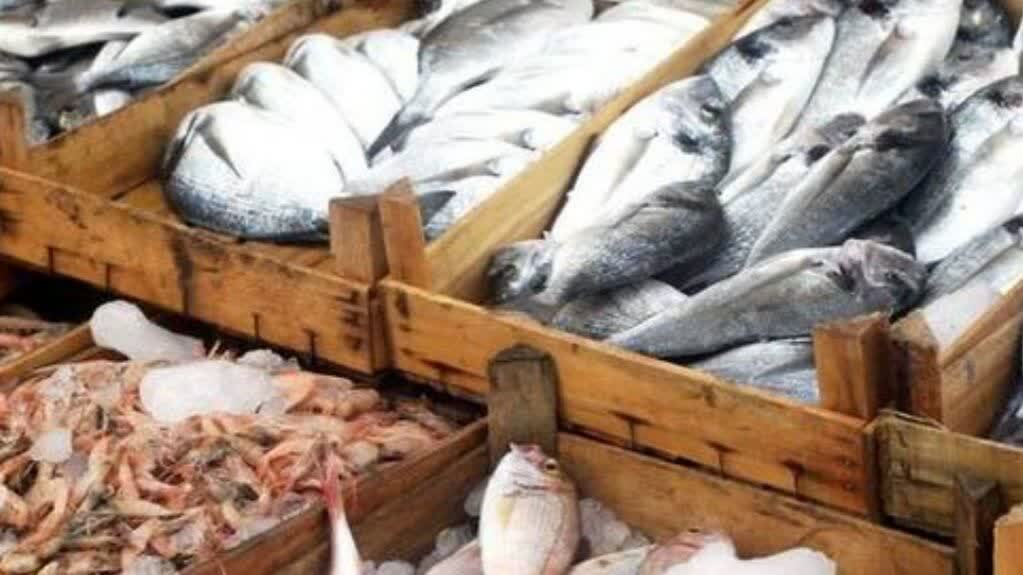 صادرات ۱۴ هزار و ۳۰۰ تن آبزیان استان بوشهر
