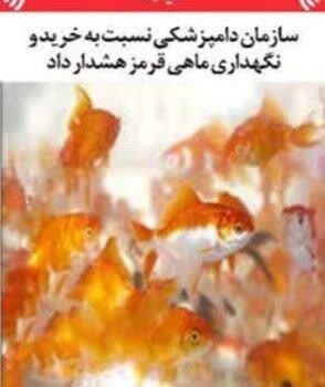 سازمان دامپزشکی نسبت به خرید و نگهداری ماهی قرمز هشدار داد