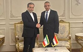 وزیر خارجه مصر بر حفظ آزادی کشتیرانی در دریای سرخ تاکید کرد